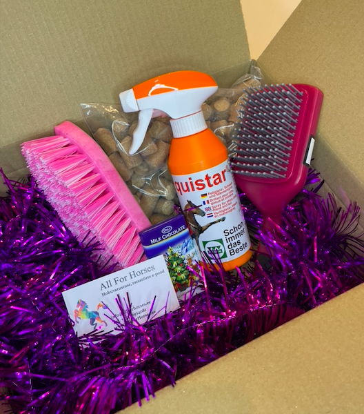 Xmas Box "Basic" AllForHorses