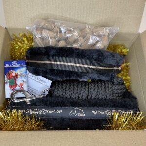 Xmas Box "Mini"
